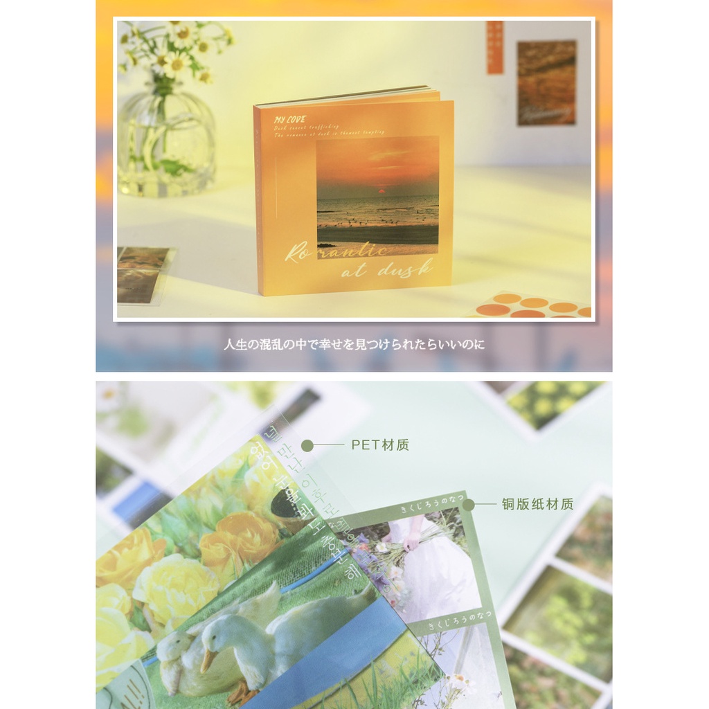 Tập sticker 50 tấm MIAO'S LITTLE FOREST bộ 50 hình dán ảnh phong cách aesthetic trang trí sổ tay bullet journal MST2208