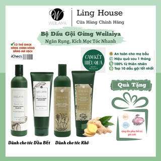 Bộ Dầu Gội Gừng WEILAIYA, Dầu Gội Thảo Dược Thiên Nhiên Chính Hãng Hỗ Trợ Ngăn Rụng Tóc Kích Mọc Tóc Ngừa Gàu 250+400ML