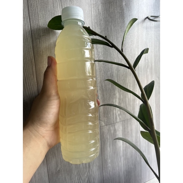 Nước thốt nốt nguyên chất Ngọc Giàu ngọt thơm 1 chai 500ml
