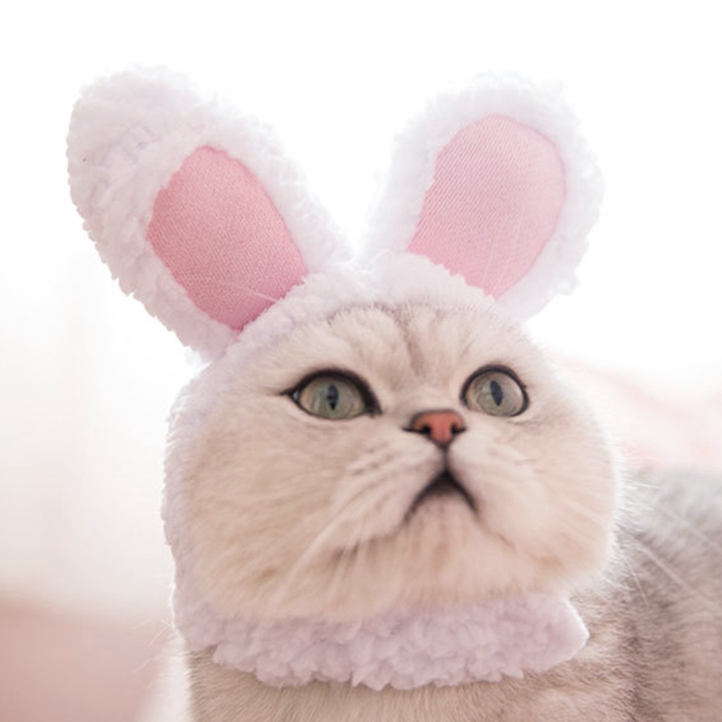 Băng Đô Tai Thỏ Dễ Thương Dùng Để Hóa Trang