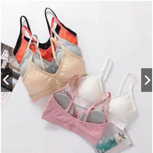 NỮ HOANG BRA_ Áo Cotton Nhiều Màu Mã 8816 SEXY | BigBuy360 - bigbuy360.vn