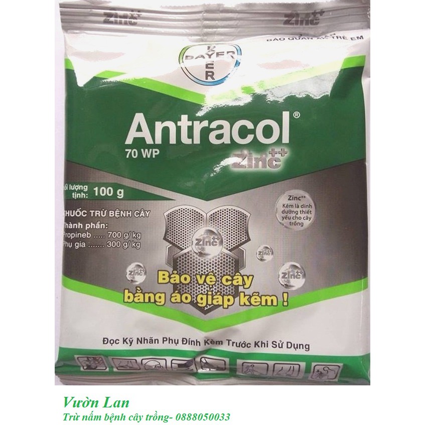 Antracol 70WP- trừ nấm bệnh hoa hồng, hoa lan, cây cảnh (100g)