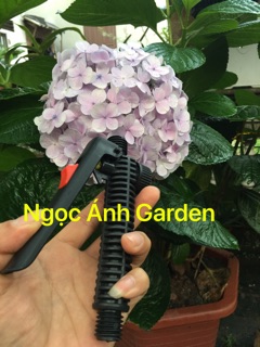 Combo phụ tùng thay thế của bình xịt DUDACO