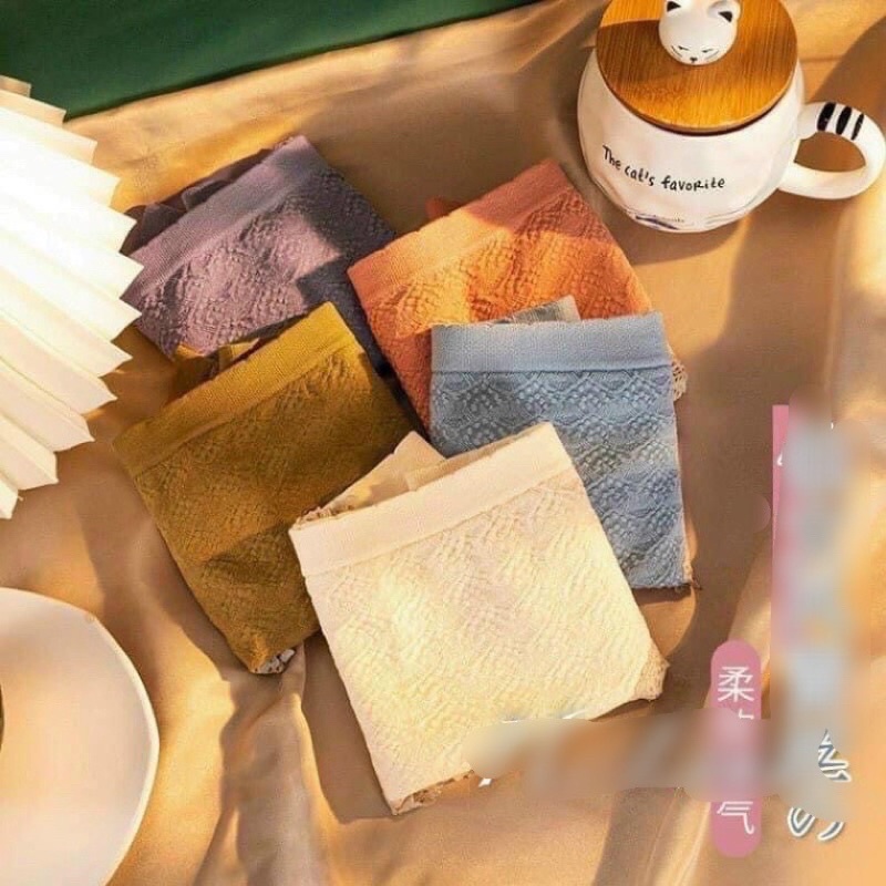 SET 10 QUẦN LÓT VIỀN REN THÔNG HƠI