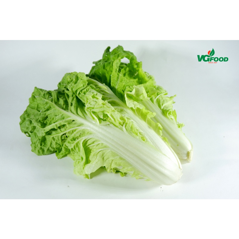 Cải bẹ dún Đà Lạt tươi sạch chuẩn Viet gap