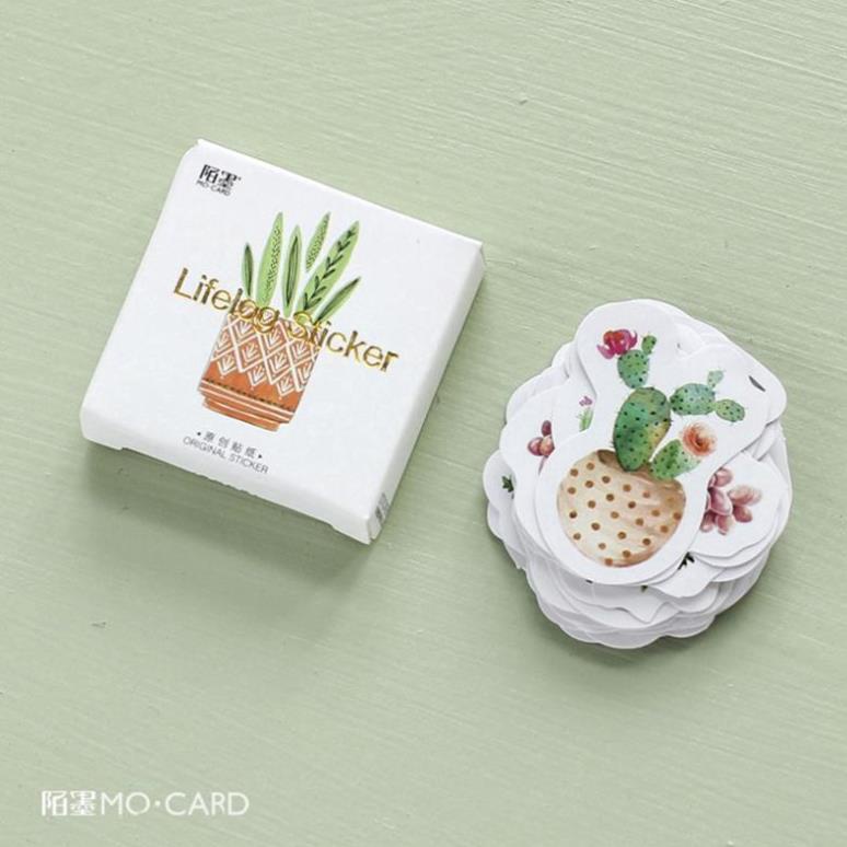 Bộ 45 miếng dán hình chậu hoa dễ thương E88