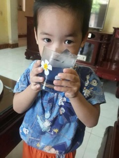 Hoa đậu biếc HandMade