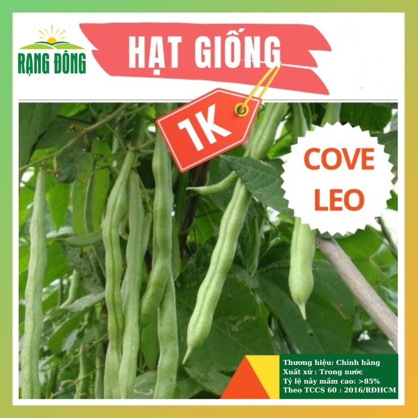 DEAL 1K Hạt giống đậu cove leo cao sản TÚI ZIP 12-15 HẠT - rau củ quả chịu nhiệt 4 mùa tỷ lệ nảy mầm cao RADO