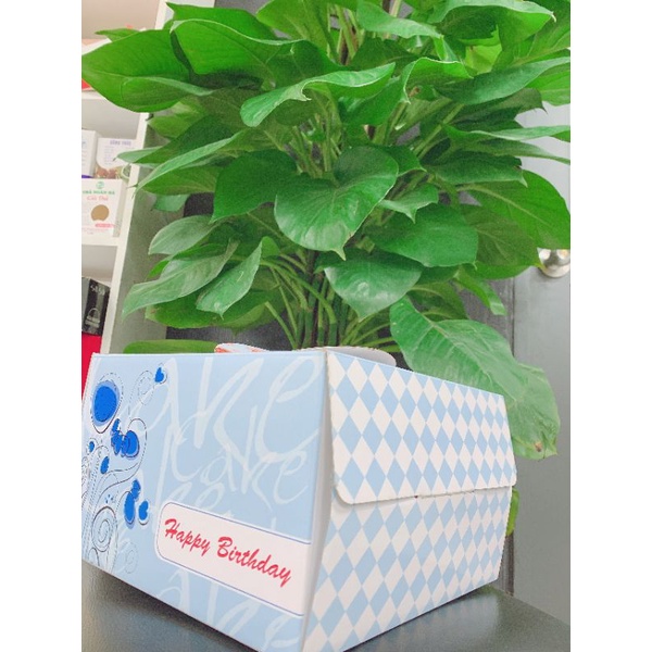 hộp bánh kem kích thước 25 x25 x 14cm (combo 30 hộp) | BigBuy360 - bigbuy360.vn