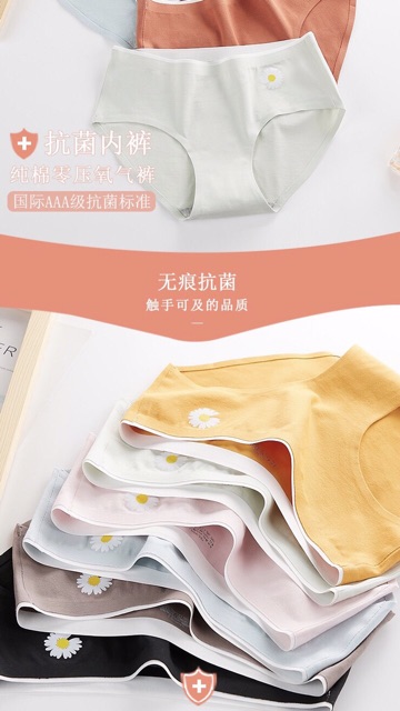 Quần Lót Cotton Ép Không Viền Hoa Cúc Hotrend 287