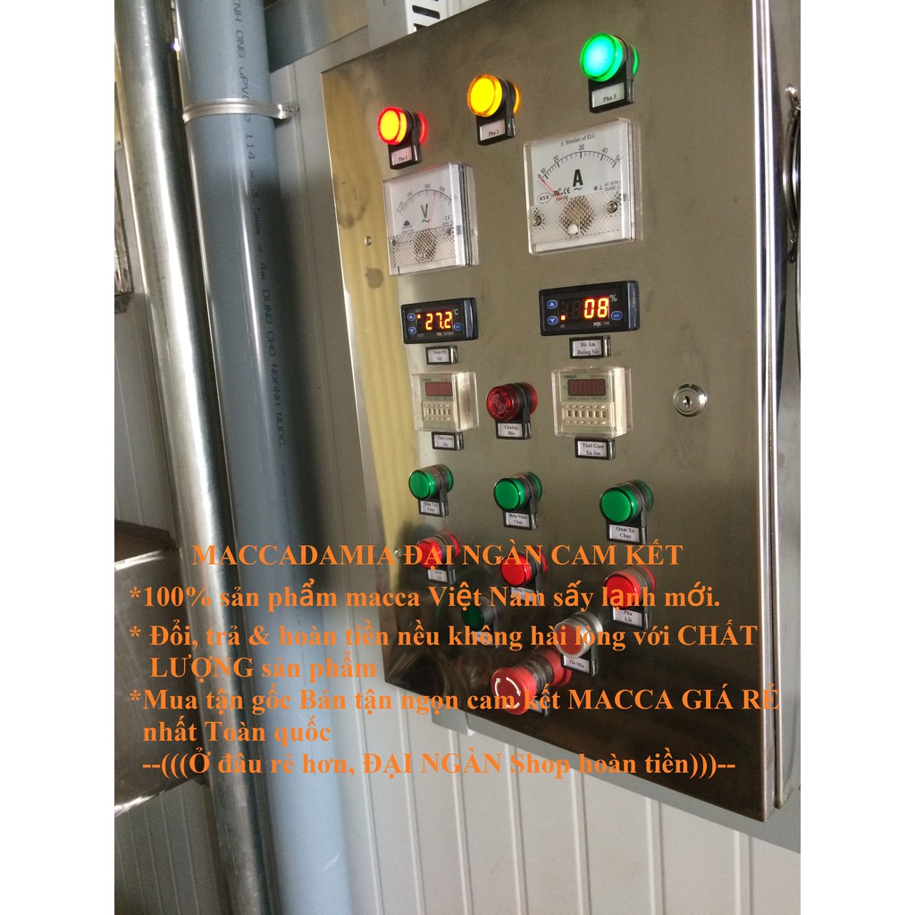 500g Hạt MACCA (Mắc ca) SẤY LẠNH Size Lớn 23-27mm | BigBuy360 - bigbuy360.vn