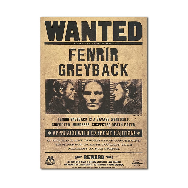 Poster Phim Harry Potter 72x26cm