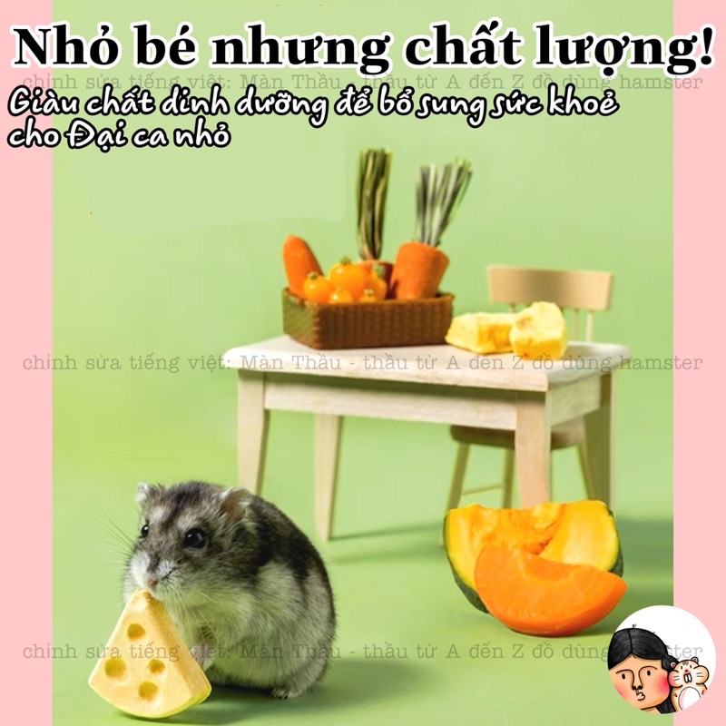 Viên phô mai dinh dưỡng Yee dành cho Hamster