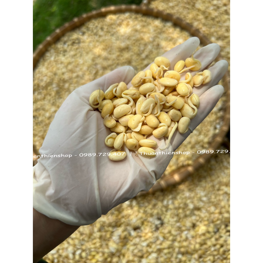 Viên Mầm Đậu Nành Thuận Thiên - Tăng Kích Thước V1, Cân Bằng Nội Tiết Tố, Chống Lão Hóa - Hộp 400g