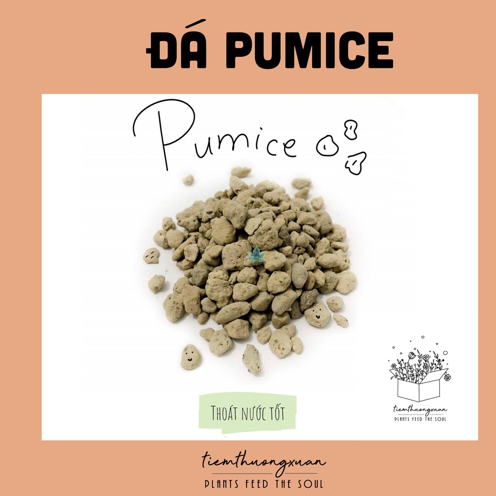 Đá Pumice - 200 gram - Đá bọt - Trồng Cây Cảnh, Sen Đá, Bonsai, Lan,...