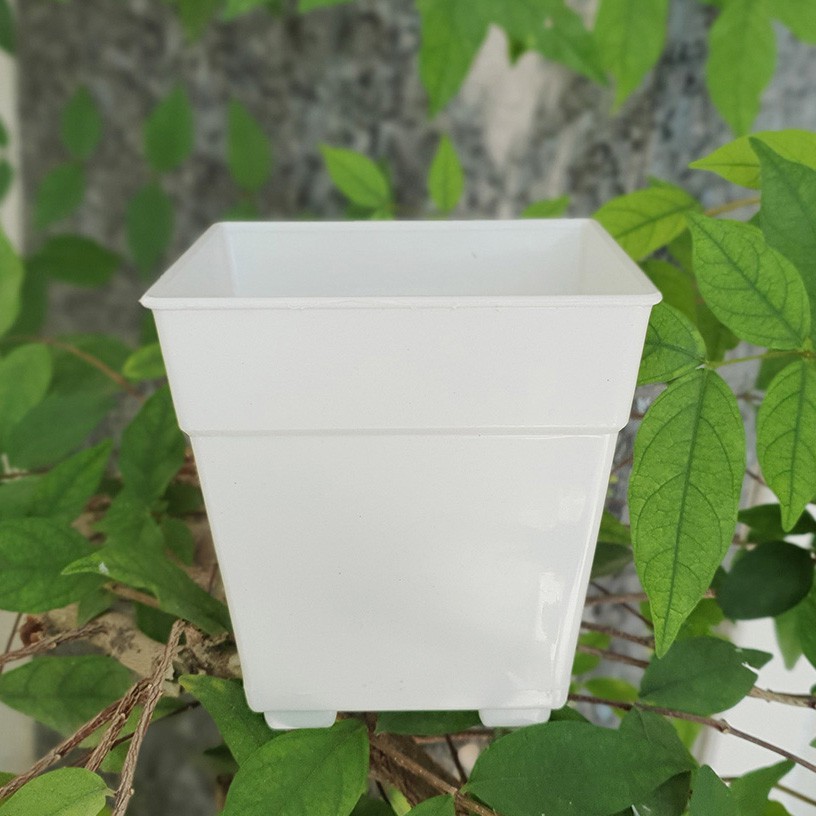 Combo 5 chậu vuông nhựa trắng 17x18cm