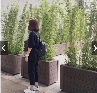 Quần kate dài