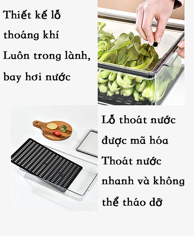 Hộp đựng bảo quản thực phẩm cho tủ lạnh chất liệu an toàn chất lượng cao