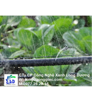 Dây tưới phun mưa Hàn Quốc D42
