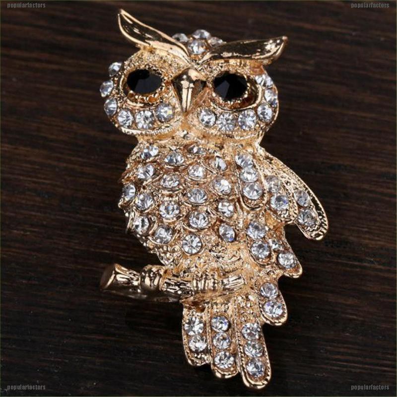 Ghim cài áo hình chim cú đính đá dễ thương