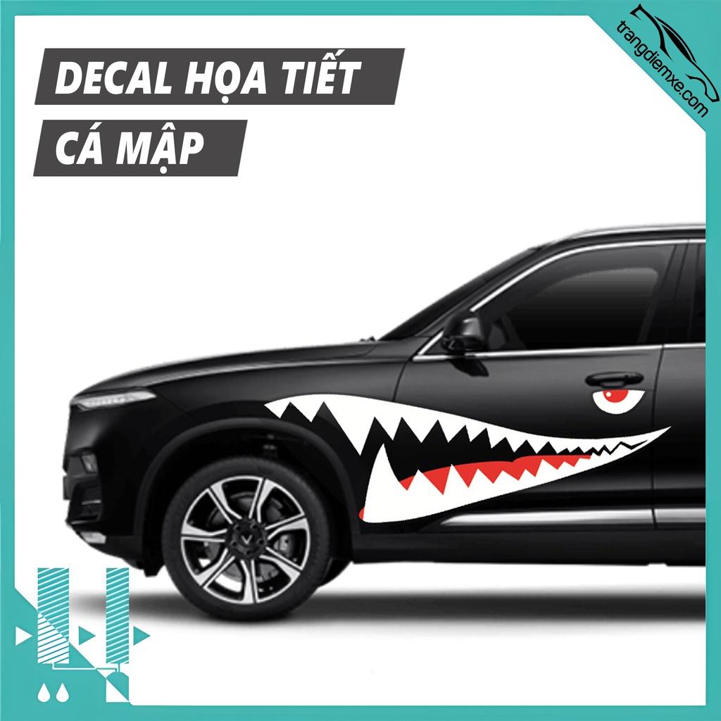 Decal Dán Xe Hình Cá Mập Tem Dán Xe Ngầu Đét Trangdiemxe