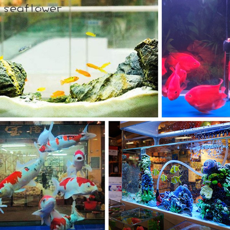 Khối Lọc Nước Than Hoạt Tính Kích Thước 10x10x5cm Thay Thế Cho Bể Cá Cảnh