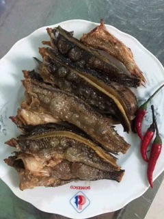 Khô cá lóc cửng