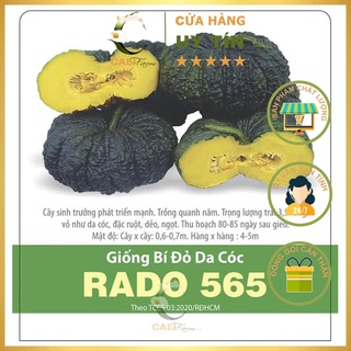 Hạt giống Bí Đỏ Da Cóc Rado 565 (5 hạt)