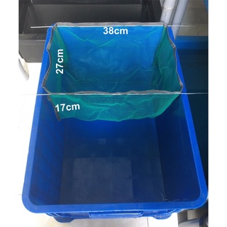 Size lớn Lồng lưới đẻ Guppy, Lồng dưỡng cá