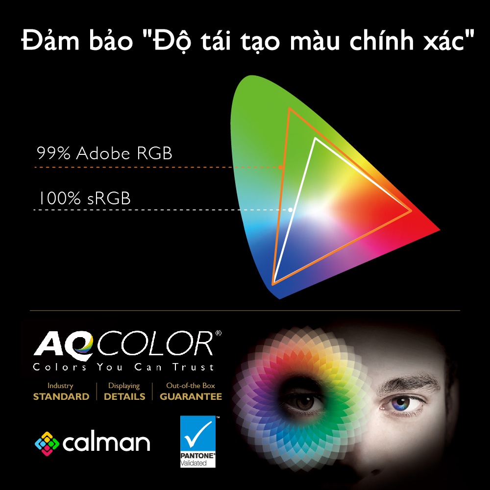 Màn hình máy tính BenQ SW240 24 inch 99% Adobe RGB