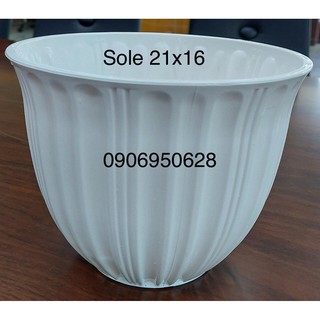 Chậu nhựa sole trắng