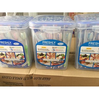 Bàn chải đánh răng siêu mềm Freshly Thái Lan