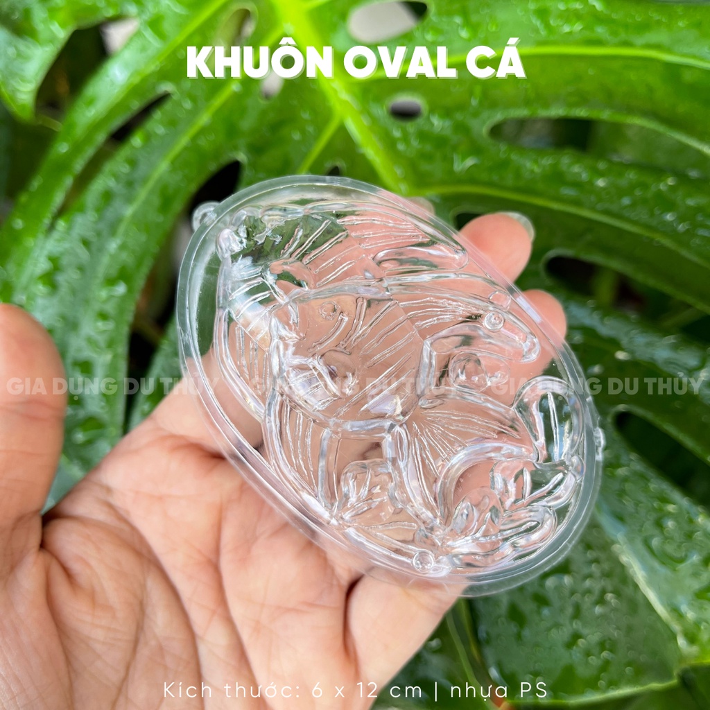 Khuôn rau câu 3d hình tròn nhỏ với nhiều kiểu dáng, nhựa chính phẩm an toàn, dễ đóng khuôn của gia dụng Du Thủy