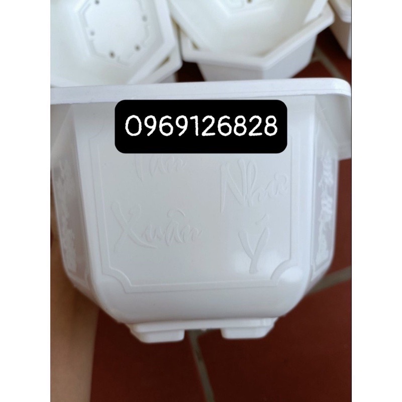 Chậu nhựa lục giác trồng cây Bon sai màu trắng_ chậu tứ quý hàng dày đẹp _ảnh thật
