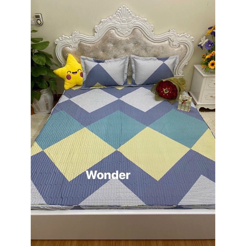 Bộ ga gối chun trần 3 món 2mx2m2