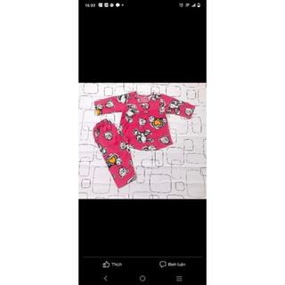 Bộ tole (tôn,lanh) bé gái size 10(19-20 kí)