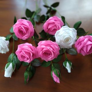 Cành hoa hồng giấy nhún ý