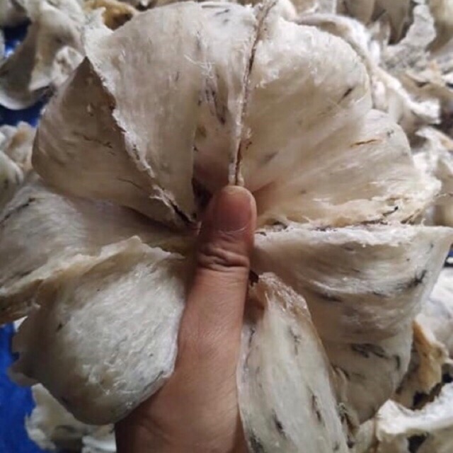 Yến sào tổ thô siêu ít lông loại vip 100g Nha Trang, Khánh Hoà +🎁🎁🎁