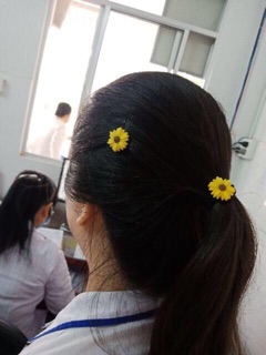 Kẹp Tóc, Cột tóc Hoa Cúc Vàng (kèm ảnh thật)