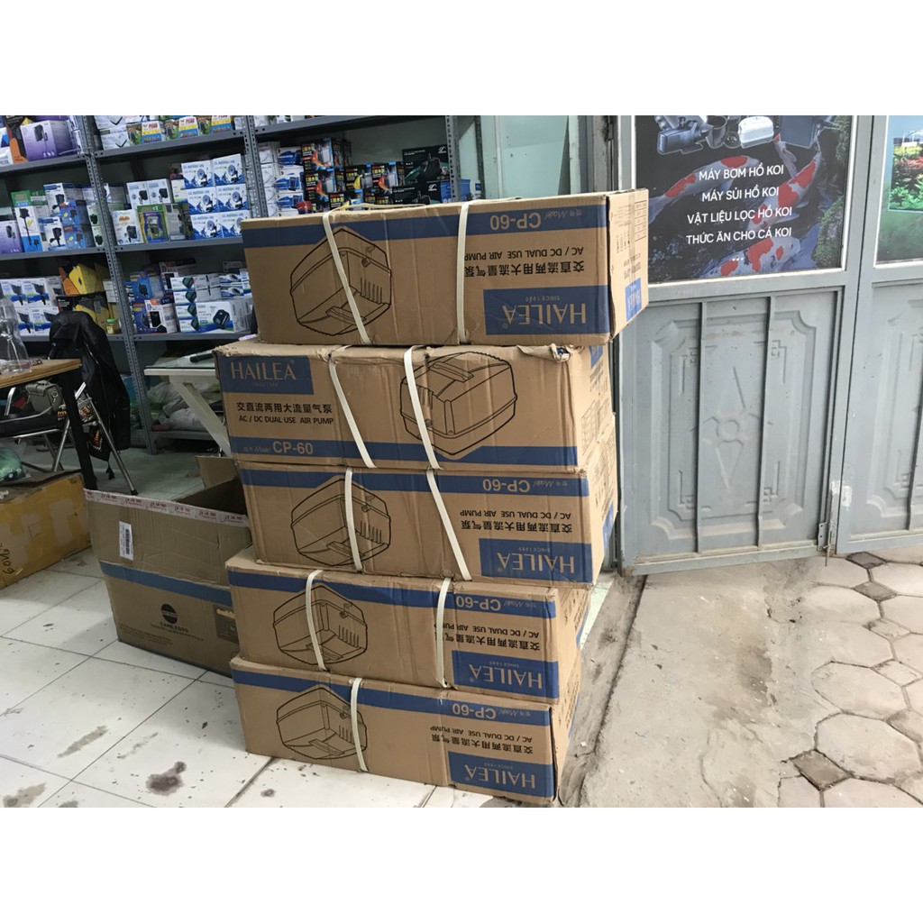 Máy sục khí tích điện Hailea CP 60, máy sủi oxi cho bể cá cảnh và bể hải sản, đầu ra 10 quả sủi