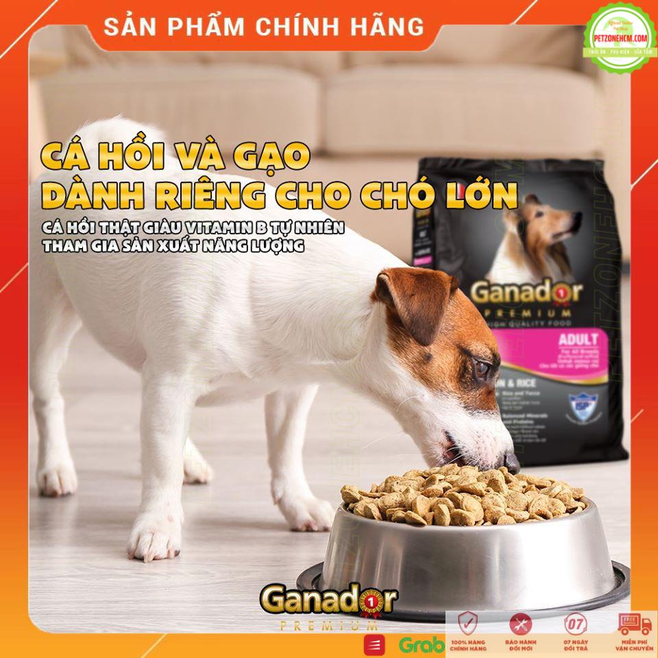 Combo 5 thức ăn chó Ganador  FREESHIP Vị Salmon &amp; Rice (5 x 400 gram/gói) cho chó trưởng thành Ganador vị cá hồi &amp; gạo
