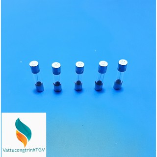 Bộ 5 cầu chì 10a