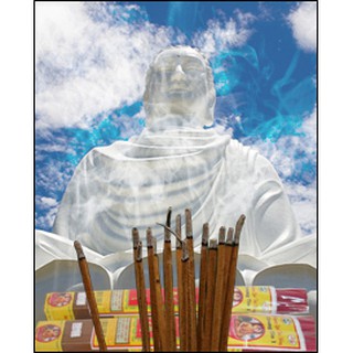 Nhang sạch Quế Việt (Tép 16 nén - dài 38cm)