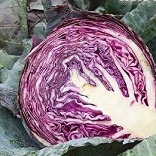 1Gr Hạt Giống Bắp Cải Tím