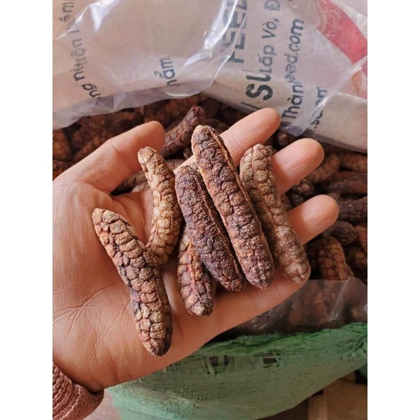 1kg Chuối hột rừng tây nguyên