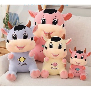 Gấu bông con trâu candy size 80cm quà tặng năm 2021