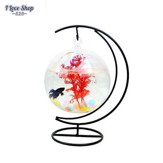Bộ bể cá mini để bàn bán nguyệt, bể cá phong thủy, bể cá để bàn hình mặt trăng mẫu 1
