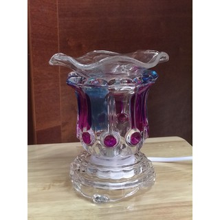 Đèn đốt điện thủy tinh C0025