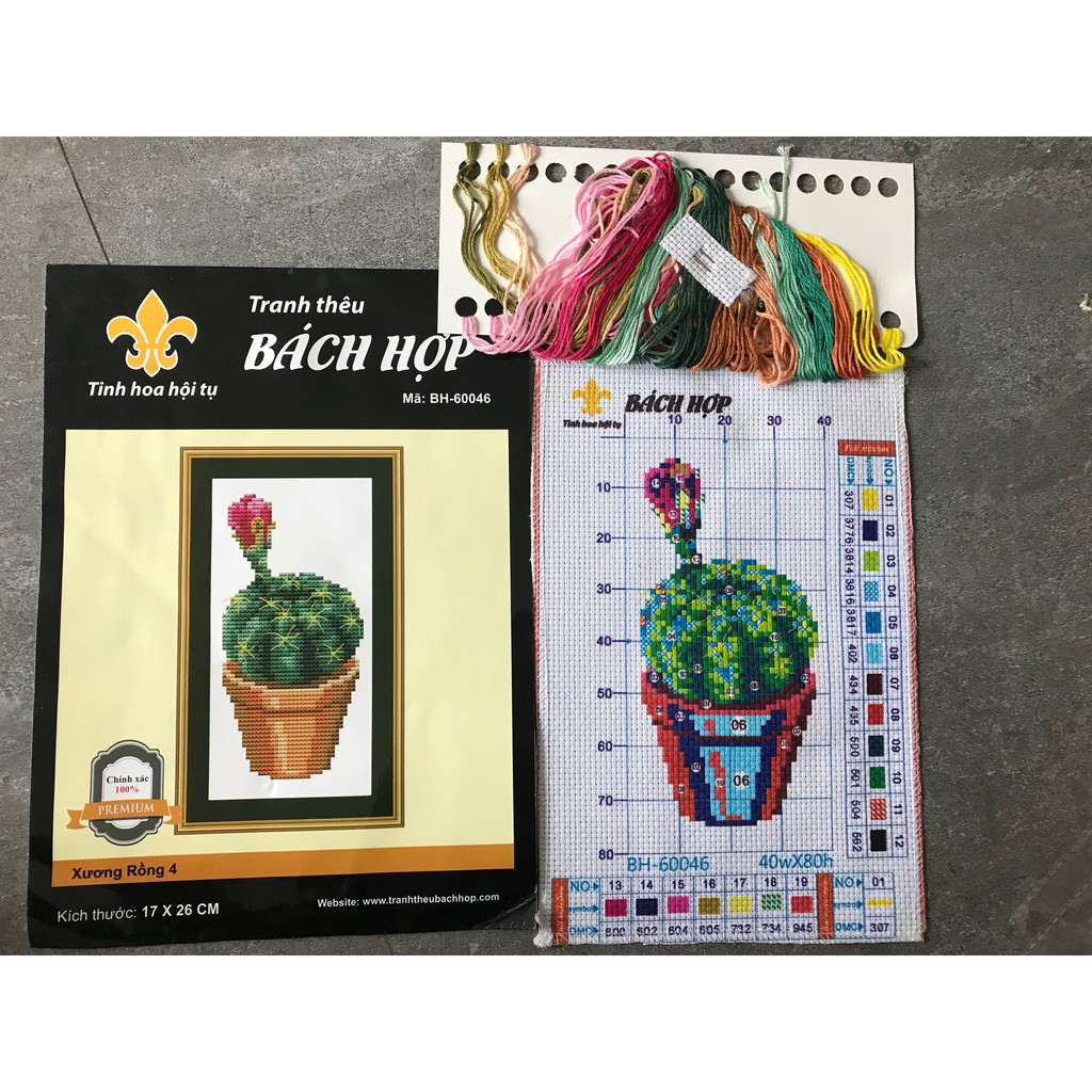 TRANH THÊU CHỮ THẬP HÌNH CHẬU XƯƠNG RỒNG MẪU 4
