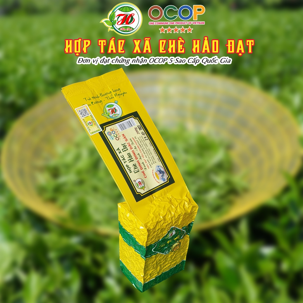 Chè Đinh Đặc Sản - Hợp Tác Xã Chè Hảo Đạt - Chè Tân Cương Thái Nguyên